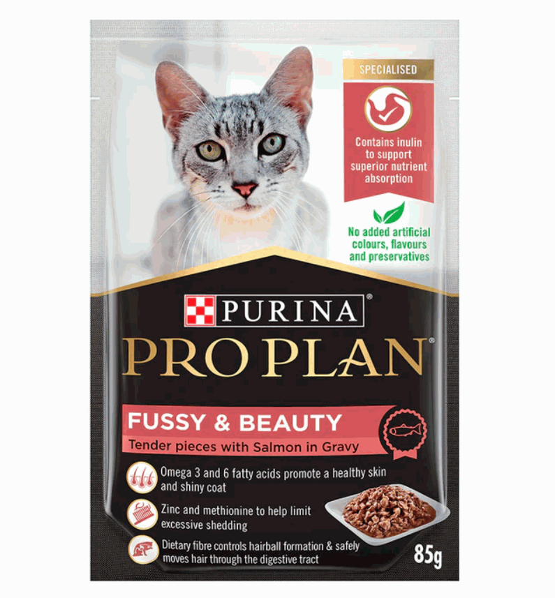 Online Pet Store Singapore